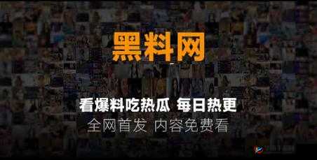 黑料门：今日黑料，揭秘最新海角背后的故事