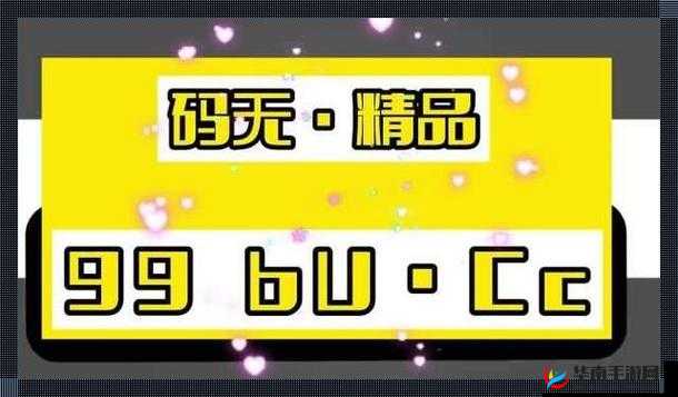 无人区码一码二码三码是什么意思：深度解析与探讨