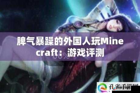 暴躁老外玩 minecraft 泄露真容：揭秘神秘身份