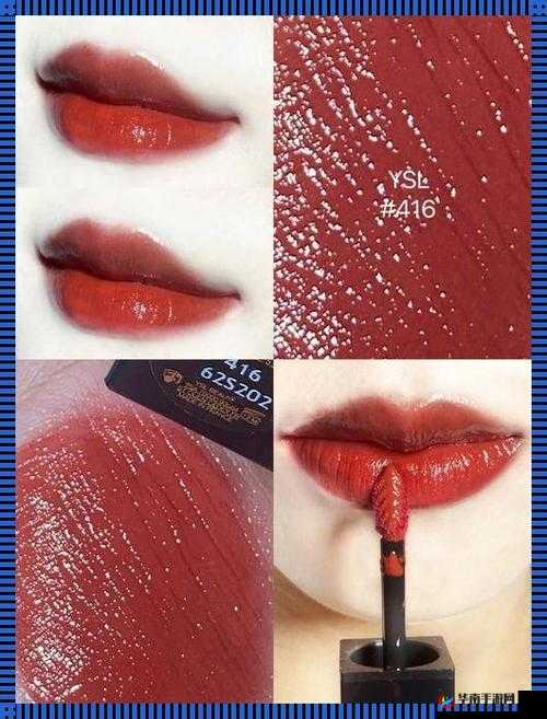 YSL 千人千色 T9T9T9 最新：时尚与色彩的完美交融