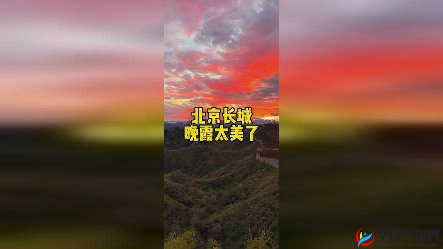 国精产品一区一区三区四区绯色：独特魅力引领非凡体验
