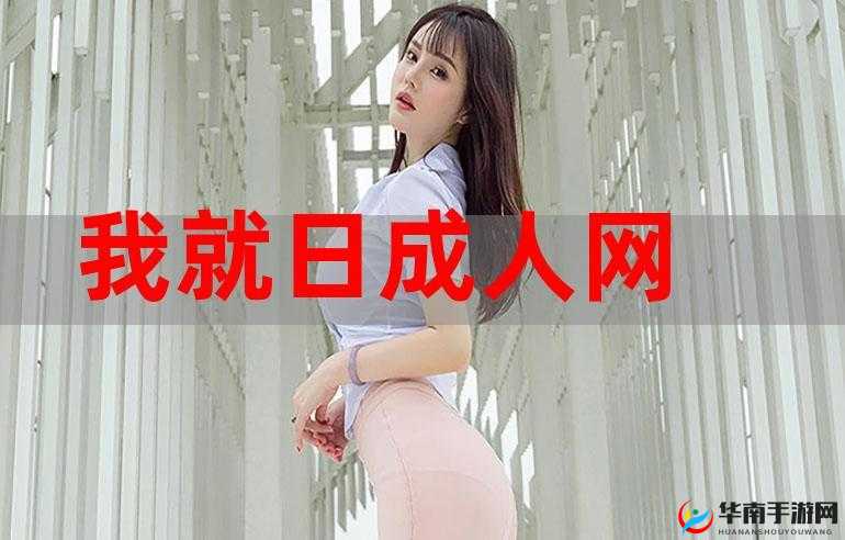 日韩有码成人激情大片：探索成人世界的激情与魅力