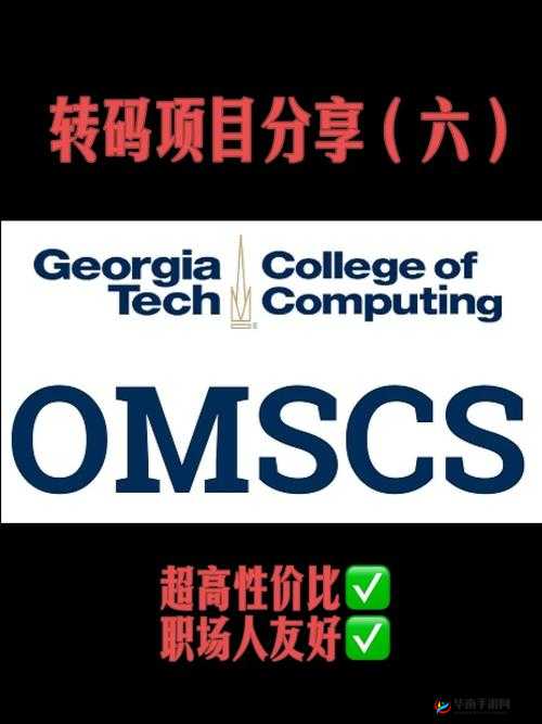 国产矿转码专一 2024：专注于国产矿转码的技术与发展