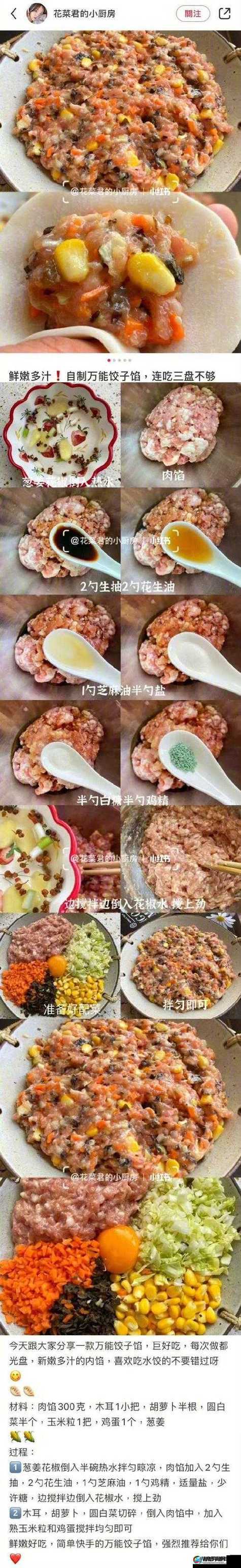 授课方式 po 肉馅小水饺：详细步骤与技巧分享