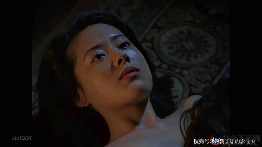 无码人妻 OV 一区二区三区 96：揭秘成人世界的私密角落