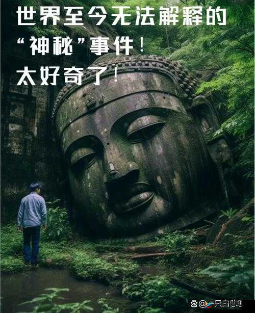HDHDHDXX18：探索未知领域的神秘密码与无限可能