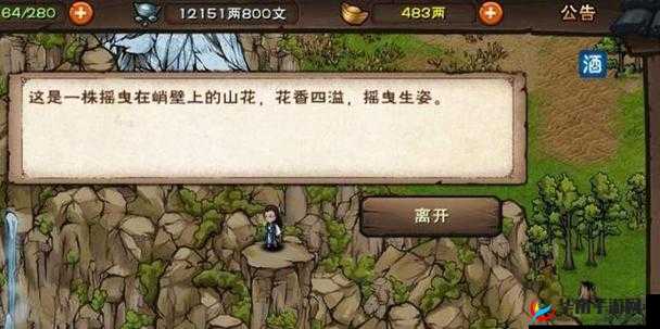 烟雨江湖冥罗花采集地点揭秘，资源管理技巧与高效采集策略以实现价值最大化