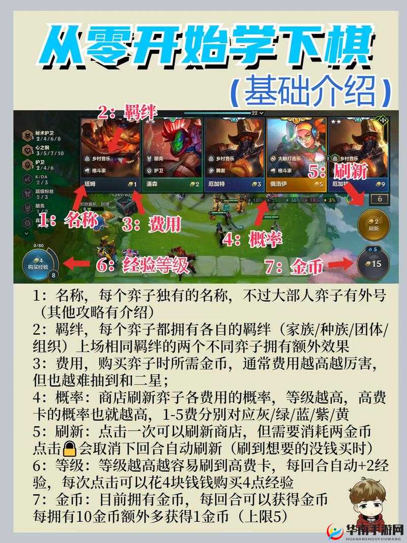 金铲铲之战新手必备，全面教程与攻略，助你轻松启程自走棋精彩之旅
