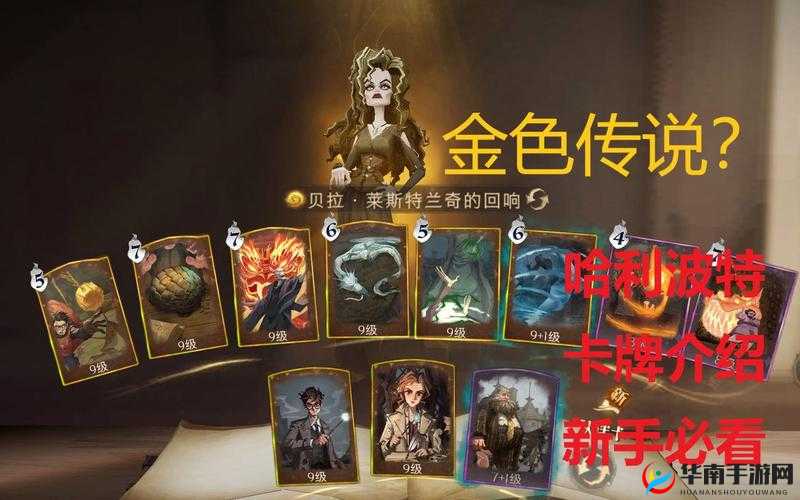 哈利波特魔法觉醒，深度解析，推荐卡牌策略与效果大揭秘
