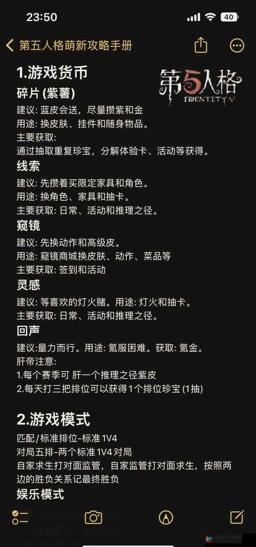 5人轮换玩法全解析：如何在团队中高效实施5人轮换策略？