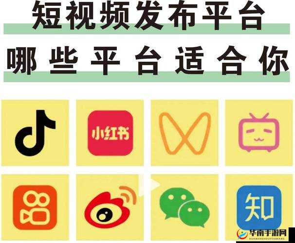 探索成品人短视频网站有哪些平台？全面解析热门短视频平台推荐与使用指南