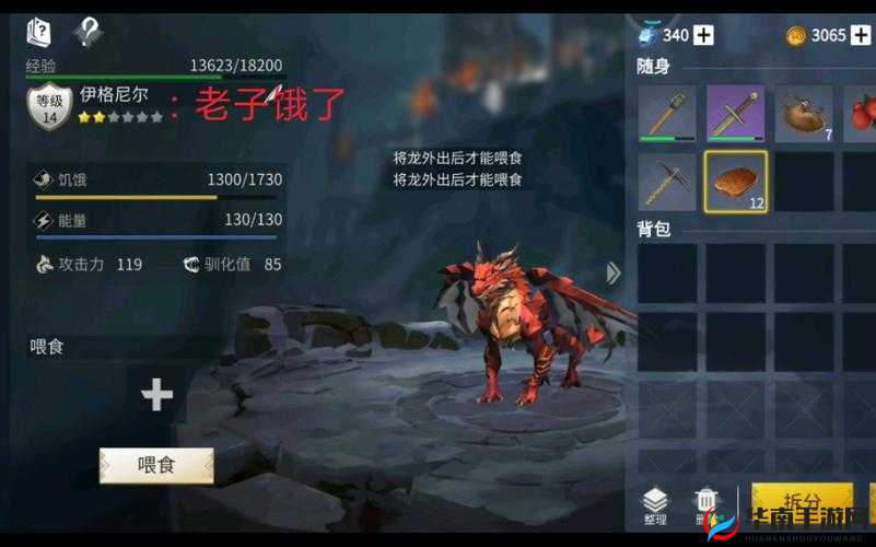 冰原守卫者中龙装碎片如何高效获取与利用，你掌握秘诀了吗？