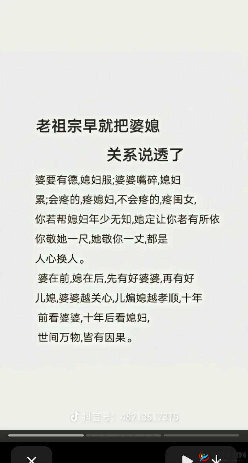最美儿媳妇中字头2：家庭和谐与孝道的典范，感人故事引发社会热议