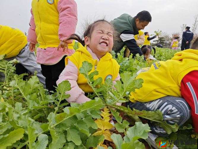 男女疯狂拔萝卜：揭秘田间劳动中的趣味与挑战，体验不一样的农耕乐趣